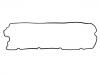 Valve Cover Gasket:1707 080
