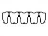 Valve Cover Gasket:0419 8796