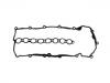 Valve Cover Gasket:LVP100620