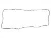 Valve Cover Gasket:5801512813
