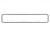 Valve Cover Gasket:504028047
